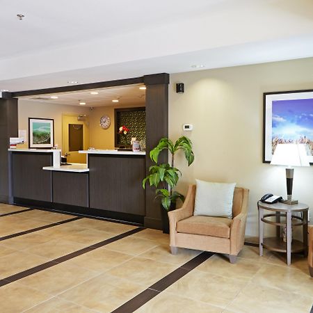 Candlewood Suites San Antonio Airport By Ihg Ngoại thất bức ảnh