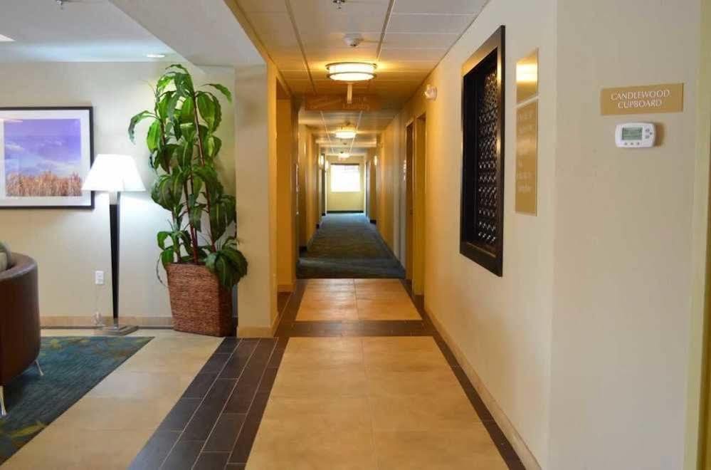 Candlewood Suites San Antonio Airport By Ihg Ngoại thất bức ảnh